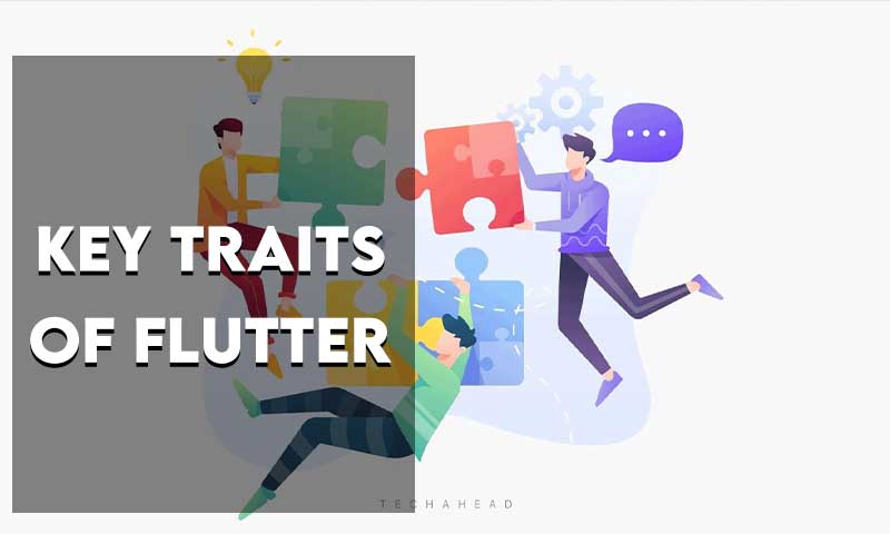 Key Traits of Flutter