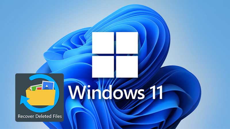 How Can You Recover Deleted Files on Windows 11