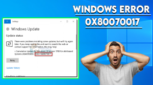 Windows Error Code 0x80070017