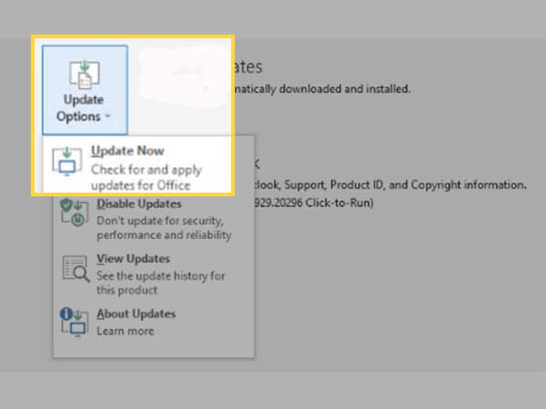 Click on the Update Options button and select Update Now option from the menu list.