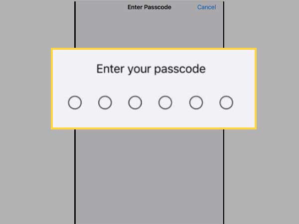 enter your passcode 