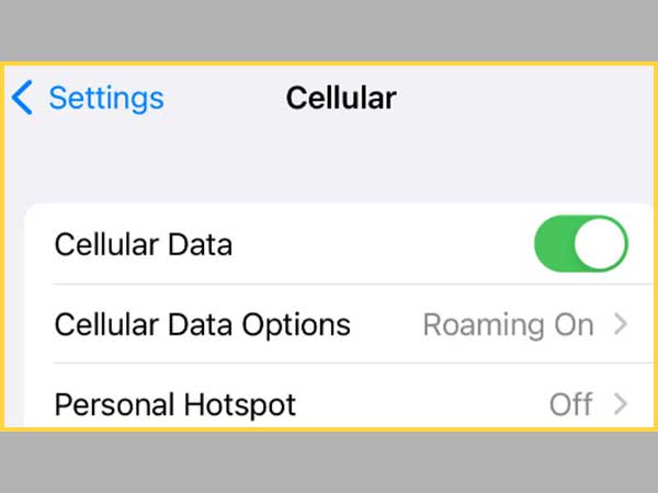cellular data services feature
