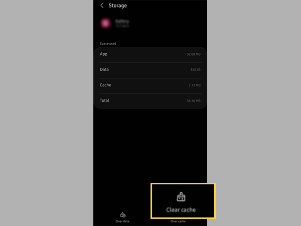 Tap on the Clear Cache option.