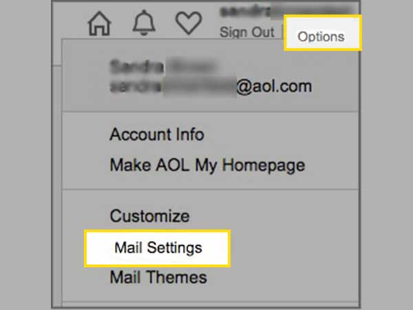 Click on Option and select Mail Settings