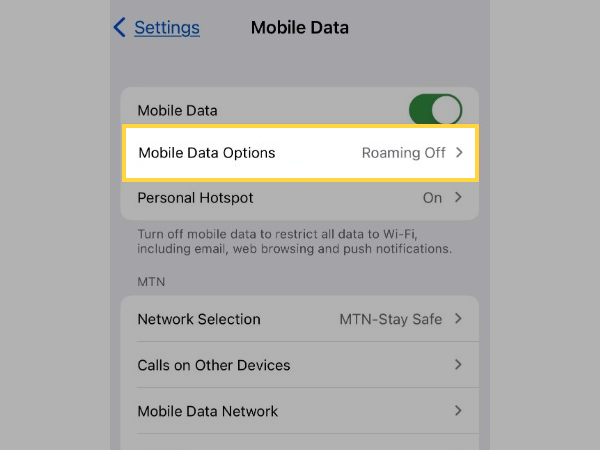 Select Mobile Data Options.