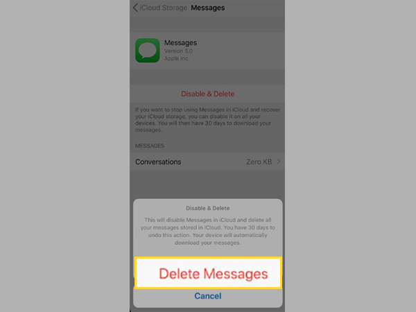  Tap on the Delete Messages option.
