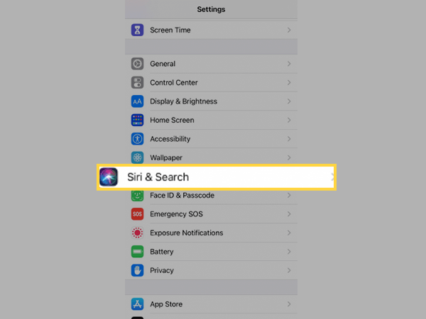 Select Siri & Search.