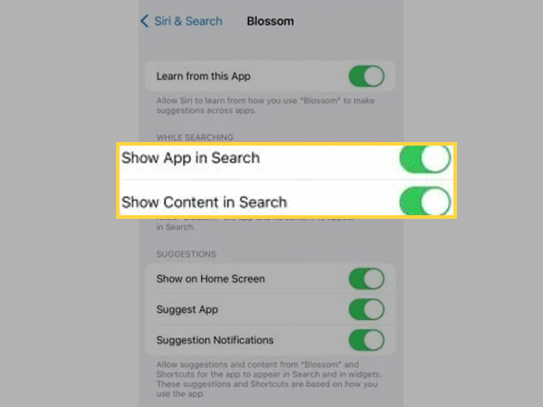 Turn off Show App in Search and Show Content in Search.