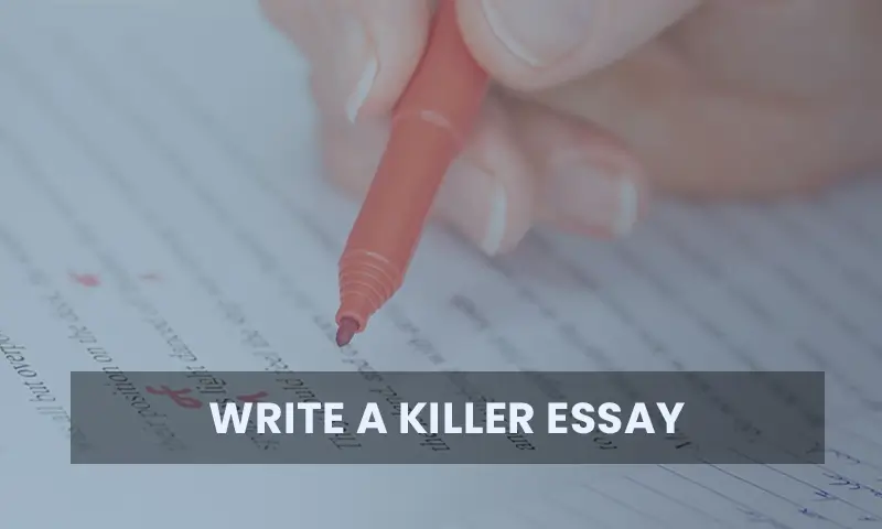 Essay-writing