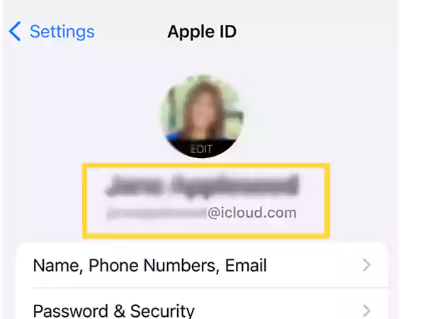 Find your iCloud ID