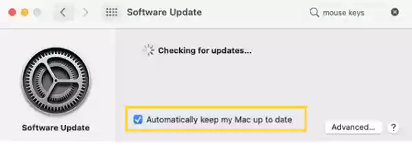 Mac is checking for an update. Check the option for automatically updating