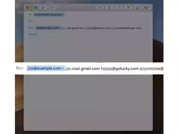 Type email addresses in Bcc field