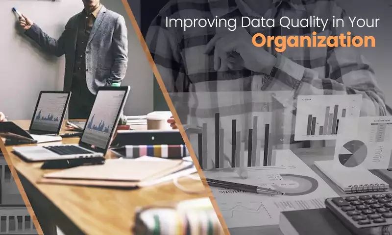 Data Quality in Your Organization