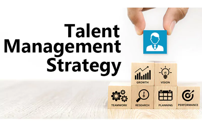 talent managment strategy