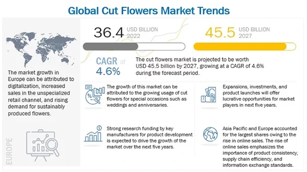 global cut flowers
