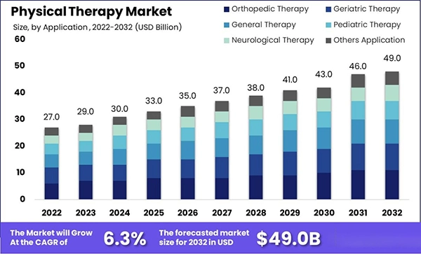 Physical therapy market size