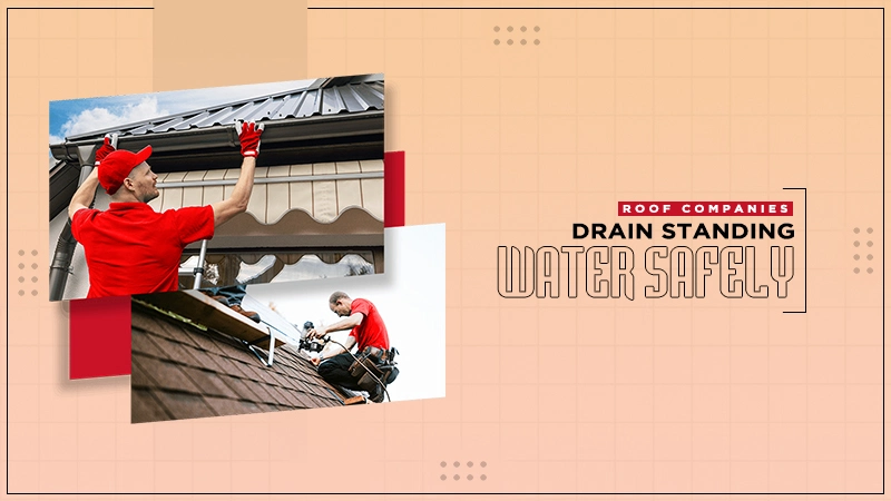 roof companies drain standing water safely